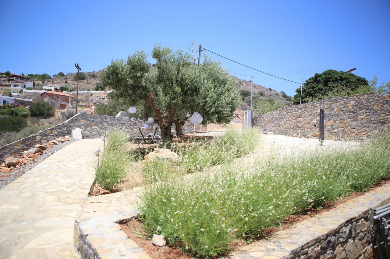 Villa Estee, Luxury Villa With Private Infinity Pool And Jacuzzi Ελούντα Εξωτερικό φωτογραφία